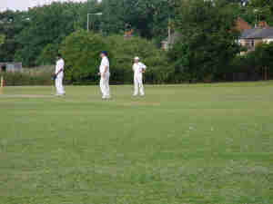 Cricket in Victoria Rec